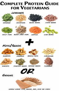Plant Protein